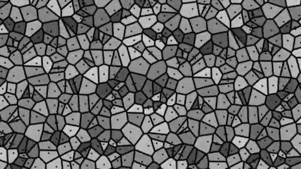 Texturované Abstraktní Tvary Černé Bílé Geometrie — Stock video