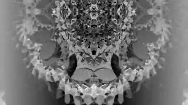 Grayscale Mirrored Kaleidoscope Mandala Abstract — 비디오