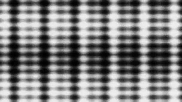 Onda Ruido Estiramiento Abstracto Blanco Negro Monocromo Pixel Loop — Vídeos de Stock