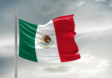Meksika Ulusal Bayrak Kumaşı Güzel gri arka planda sallanıyor.