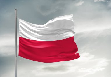 Polonya ulusal bayrak kumaşı güzel gri arka planda dalgalanıyor.