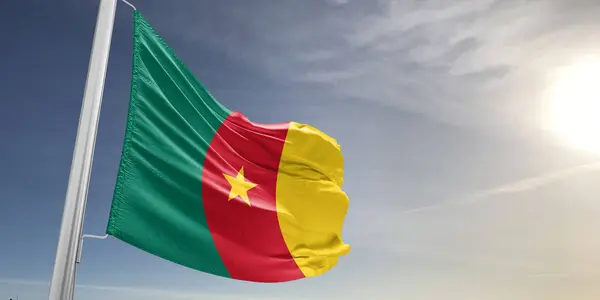 Камерунська Національна Тканина Прапором Махає Прекрасним Сірим Фоном — стокове фото