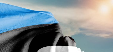 Estonya ulusal bayrak kumaşı güzel bir arka planda dalgalanıyor.