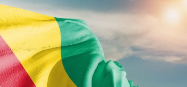 Gine Ulusal Bayrak Kumaşı Güzel bir arka planda sallanıyor.