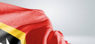Doğu Timor (Timor-Leste). Ulusal bayrak kumaşı güzel açık gri arka planda dalgalanıyor.