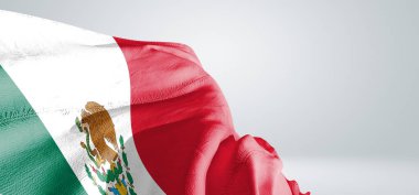 Meksika ulusal bayrak kumaşı güzel gri ışık arka planında dalgalanıyor.