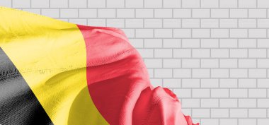 Belçika ulusal bayrak kumaşı güzel tuğlalar üzerinde sallanıyor.