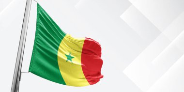 Senegal Ulusal Bayrak Kumaşı Beyaz Meydan 'da sallanıyor.