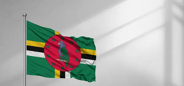 stock image Dominica  national flag cloth fabric waving on beautiful window light grey Background.