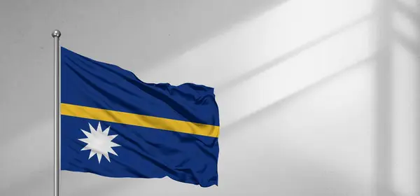 Nauru Ulusal Bayrak Kumaşı Güzel pencere açık gri arka planda sallanıyor.