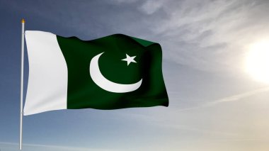 Pakistan ulusal bayrak kumaşı güzel gri arka planda sallanıyor.