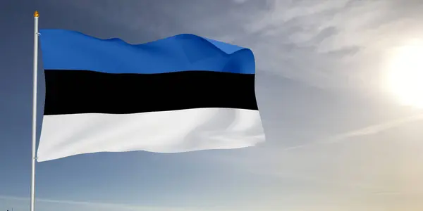 Estonya ulusal bayrak kumaşı güzel güneş ışığı gri arka planda dalgalanıyor.