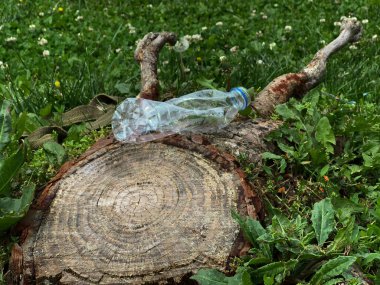 Ezilmiş plastik şişe ve askı eski bir testere ağacının yanına atılmış. Ekoloji sorunları, yeniden kullanım. Yukarıdan görüntüle