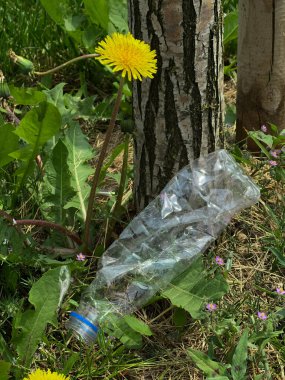  Doğada kullanılmış plastik şişe, ağaç ve çiçek arasında, çevresel sorunlar