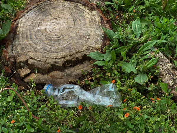Used plastic bottle in the forest, environment problems