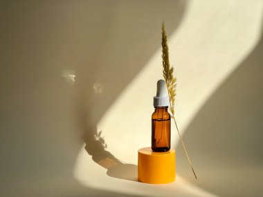 Üzerinde güneş ışığı olan çıplak arkaplanda serum olan şeffaf bir şişe. Güzellik rutini. Cilt bakımı. Kurumuş çiçek dalı