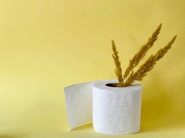 Bir rulo beyaz tuvalet kağıdı ve açık sarı arka planda kurumuş çiçek dalları.. 