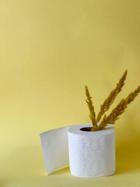 Bir rulo beyaz tuvalet kağıdı ve açık sarı arka planda kurumuş çiçek dalları.