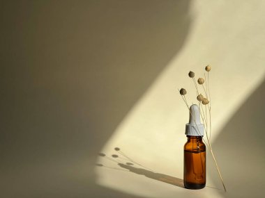 Çıplak bir arkaplanda serumla güneş ışığını düşürmüş. Güzellik rutini. Cilt bakımı. Kurumuş çiçek dalı