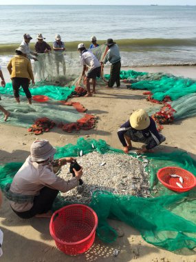 Phan Thiet - 14 Kasım 2015: Balıkçı Limanı. Yerel balıkçılar balık ağındaki avları ayırıyor. Diğer balıkçılar ağı kıyıya çekiyor.