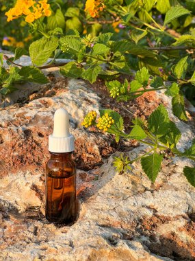 Bir şişe kahverengi camdaki serum bir taşın üzerinde duruyor, güneş ışınlarının içinden geçen cam. Dikey fotoğraf, günbatımı ışığı