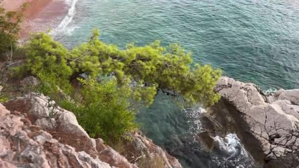 Deniz Sahil Kayalık Uçurum Sudaki Büyük Kayalar Için Genel Plan — Stok video