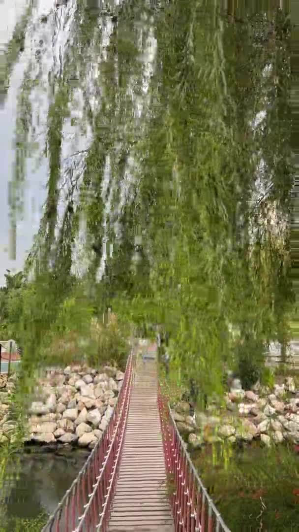 垂柳的枝干靠在木制悬索桥上 公园内的池塘 — 图库视频影像