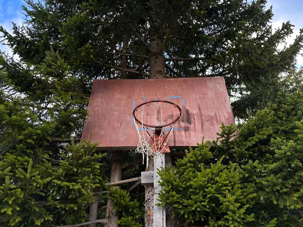 An old basketball ring in a highland village with a spruce tree behind it. Unusual kind of familiar things