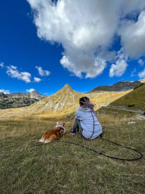 Dağlarda bir tepede köpeğiyle dinlenen rastalı bir kız. Arka plan, dikey fotoğraf