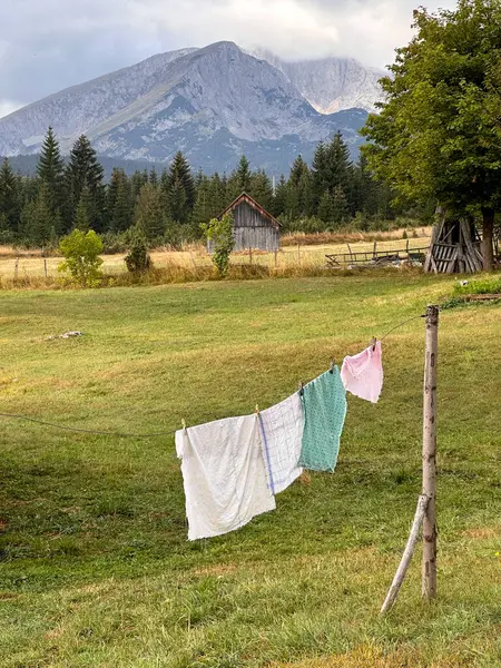 Fresh clothes dry on a rope in the yard. Against the background you can see mountains, conifer forest and sky with clouds. Vertical photo