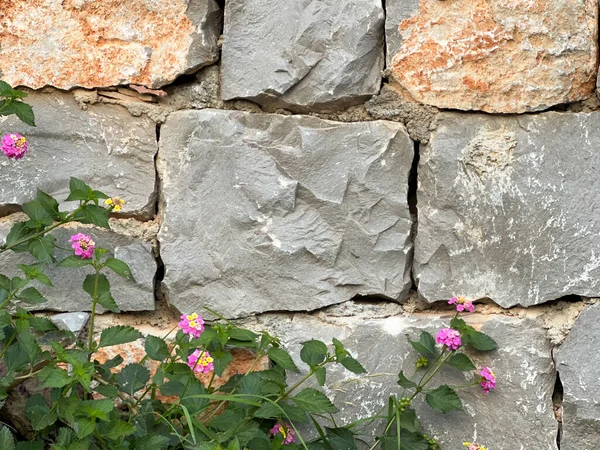 Wall of relief large pieces of stone and delicate purple flowers. Empty space, space for text