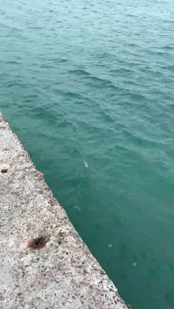 Agua Mar Turquesa Late Contra Muelle — Vídeos de Stock