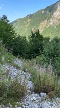 Dağ sırtının aşağıdan vadiden yukarıya panoramik görüntüsü.