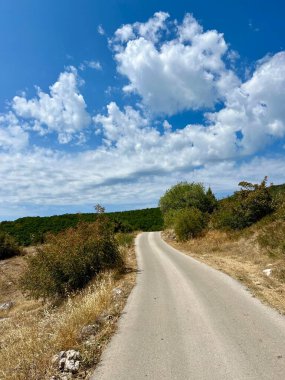 Mavi gökyüzünün altında kuru otlarla çevrili dar kırsal toprak yol.