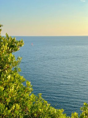 Önünde yeşil ağaçlar olan sakin denizin manzarası.