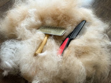 Üzerine iki tane tımar fırçası konmuş köpek kürkü yığını..