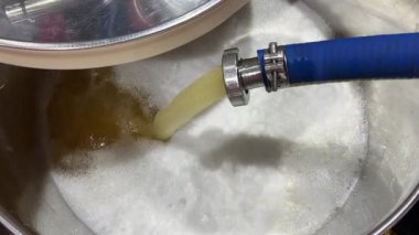 Şarap fıçısını Hortumla Beyaz Kokur ile dolduruyorum. Şarap Yapım Sürecinin Üst Görünümü.