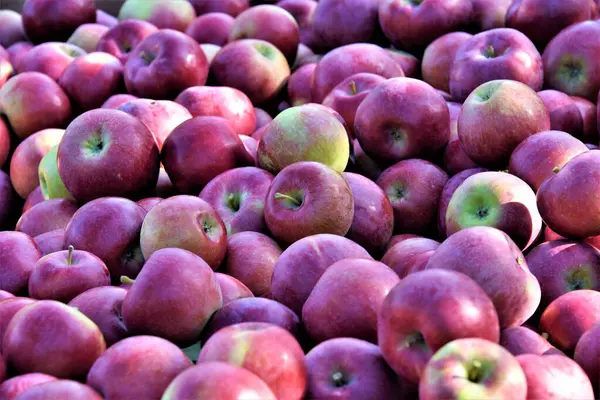 malzeme çekme elma çiftliği