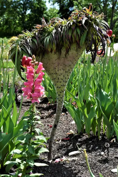 Güzel botanik fotoğrafı, doğal duvar kağıdı.