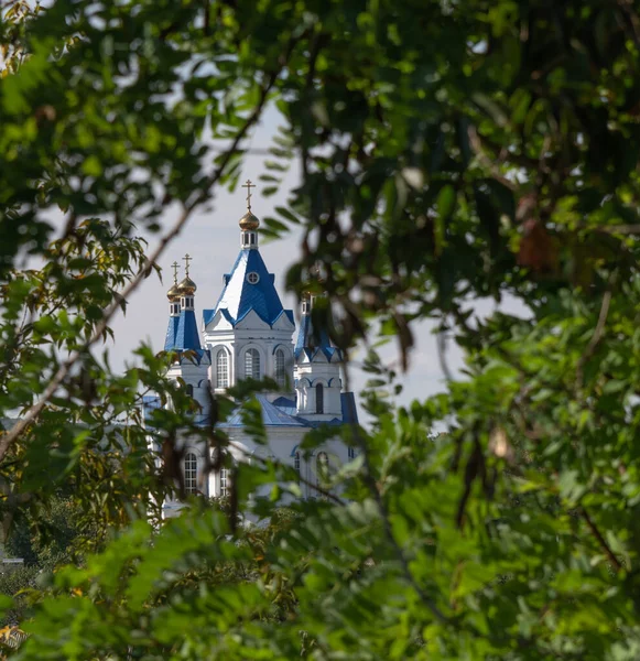 Украинская Православная Церковь Куполами Крестом Через Зеленые Листья Небе Концепция — стоковое фото