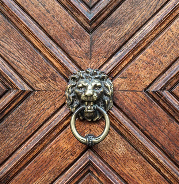 Stock Photo Antique Door Knocker Lion Head — 스톡 사진