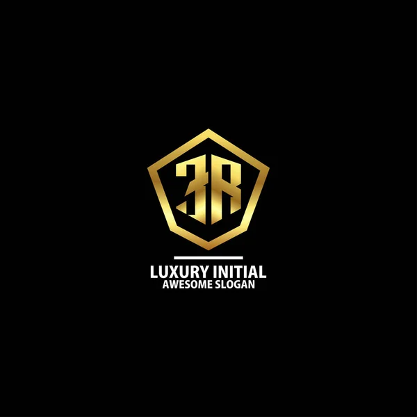Initial Shield Logo Design Luxury Color — Stock Vector