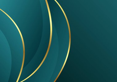 Lüks geçmişe sahip modern tosca