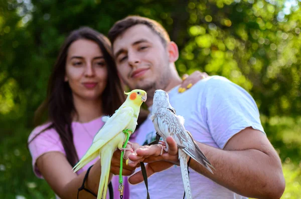 Människor Med Papegoj Fågelträning Papegojor Gång Papegojor Sel Kärlek Till — Stockfoto