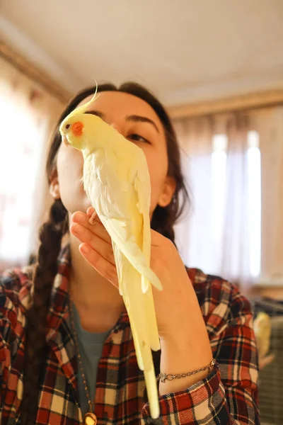 Жінка Тримає Папугу Тлі Жовтого Пір Жінка Папугою Дівчина Птахом — стокове фото