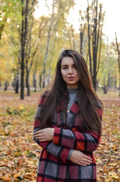 Όμορφη Κοπέλα Στο Πάρκο Φθινοπωριού Μια Γυναίκα Ντυμένη Παλτό Βόλτες — Φωτογραφία Αρχείου