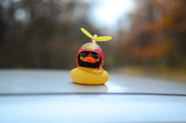 Gözlüklü plastik ördek. Ördek oyuncağı. Sarı komik plastik ördek. Eğlenceli bir hatıra. bokeh ve bulanık