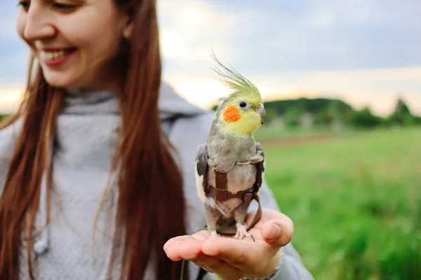 Vacker Kvinna Med Fåglar Flicka Med Papegoj Kärlek Till Fåglar — Stockfoto