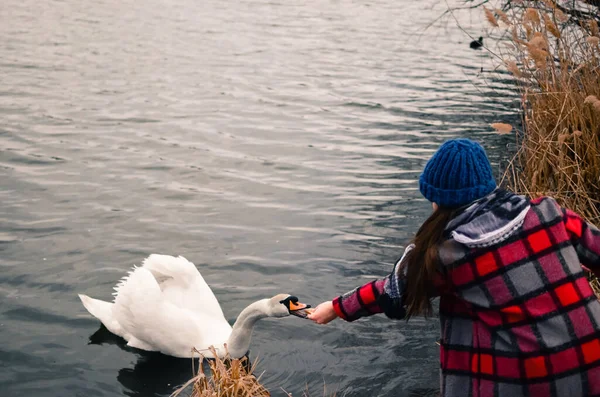 young girl with her cute swan at the lake.Girl near the lake.Girl feeding a swan.Woman feeding a white swan.Caring for animals.Feeding animals.Helping nature and animals.Lonely swan.Beautiful nature.Lake in Kharkov.Ukraine.Human kindness.walk.