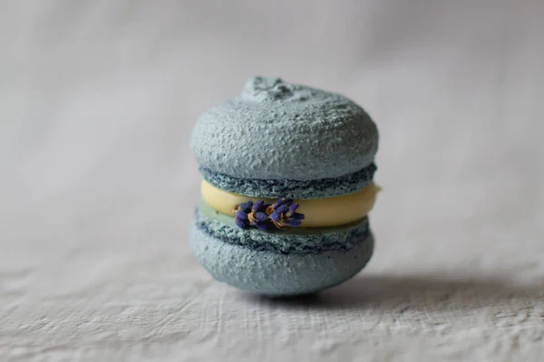 Dessert Baking French Français Sweets Macaroons Bakery Food Delivery Macaroons — Photo